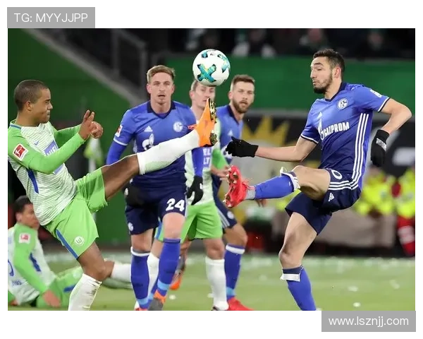 沙尔克比赛亮点 沙尔克比赛亮点